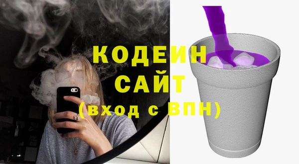 шишки Верхний Тагил