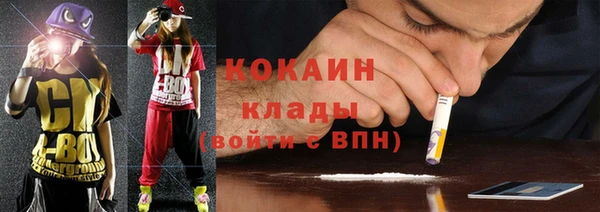 шишки Верхний Тагил