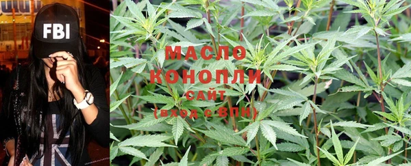 шишки Верхний Тагил