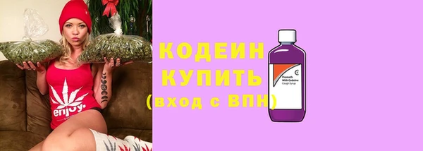 шишки Верхний Тагил