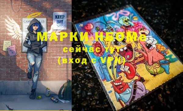 шишки Верхний Тагил