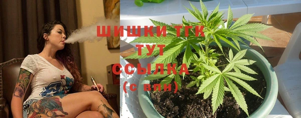 шишки Верхний Тагил