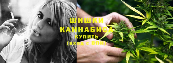 шишки Верхний Тагил