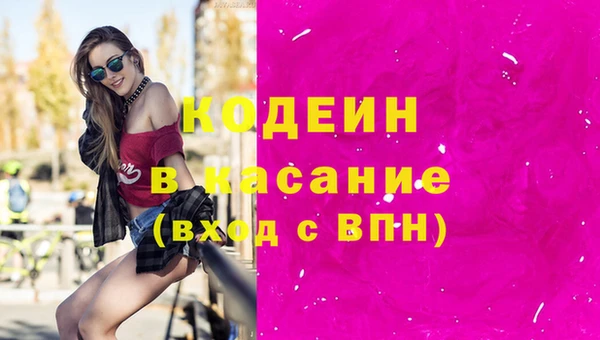 шишки Верхний Тагил