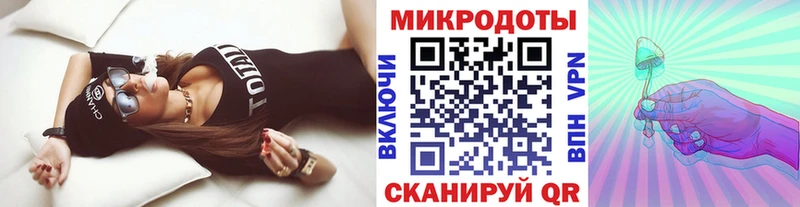Купить  Красный Кут  Псилоцибиновые грибы Psilocybine cubensis 